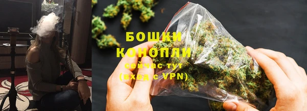 a pvp Аркадак